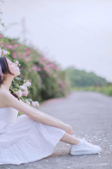 明星专题：李佳